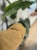 IMG_1730.jpeg